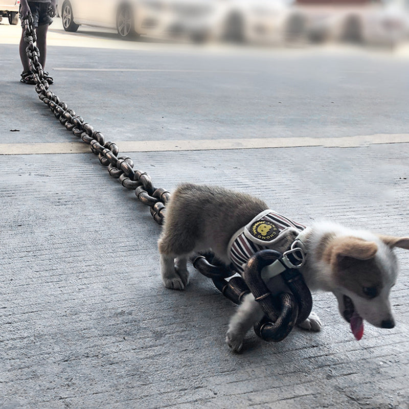 Funny Dog Leash