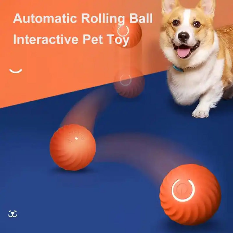 Automatic smart teasing dog ball that can't be bitten