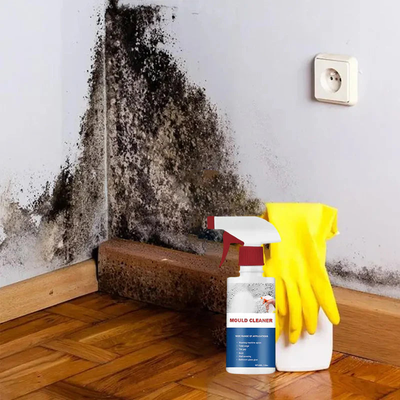 New Multifunctional Mildew Cleaner Foam