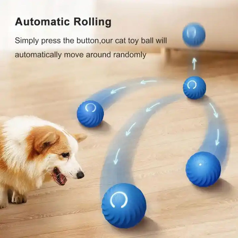 Automatic smart teasing dog ball that can't be bitten