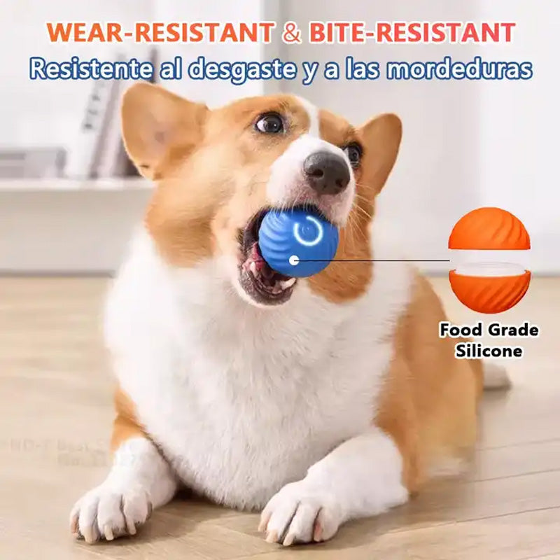 Automatic smart teasing dog ball that can't be bitten