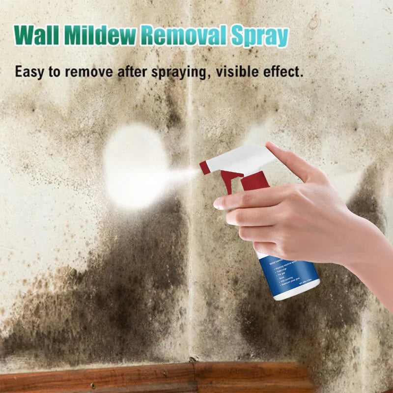 New Multifunctional Mildew Cleaner Foam