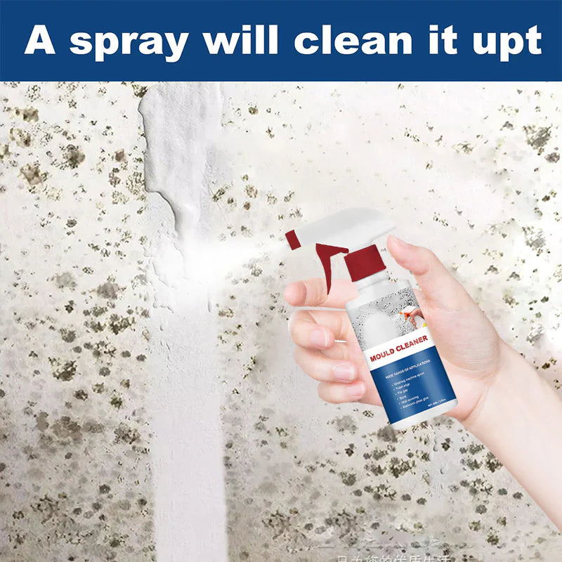 New Multifunctional Mildew Cleaner Foam