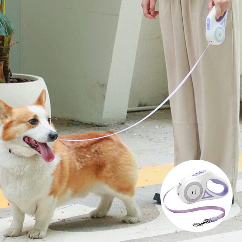 Dog Light Leash