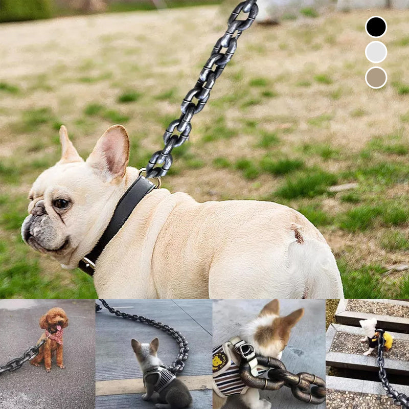 Funny Dog Leash