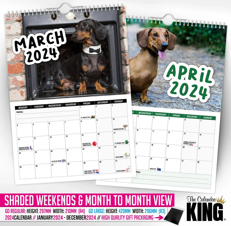 Cheeky Dachshunds - 2024 Wall Calendar